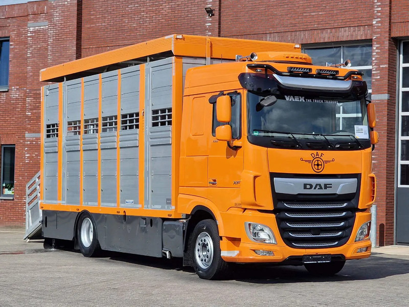 DAF XF 530 4x2 - Livestock Menke 2 deck water & ventilation - Kamion bagëtish: foto 1 DAF XF 530 4x2 - Livestock Menke 2 deck water & ventilation - Kamion bagëtish: foto 1