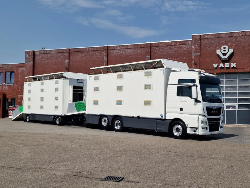 MAN TGX 500 6x2 - 3 deck Cuppers + 4 deck Cuppers 2019 trailer - Water & Ventilation - Night clima - - Kamion bagëtish: foto 1 MAN TGX 500 6x2 - 3 deck Cuppers + 4 deck Cuppers 2019 trailer - Water & Ventilation - Night clima - - Kamion bagëtish: foto 1