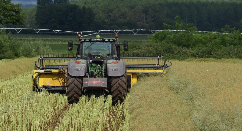 Koka e autokombajnës i ri Honey Bee ST 15 - BANDSCHWADMÄHWERK: foto 8 Koka e autokombajnës i ri Honey Bee ST 15 - BANDSCHWADMÄHWERK: foto 8