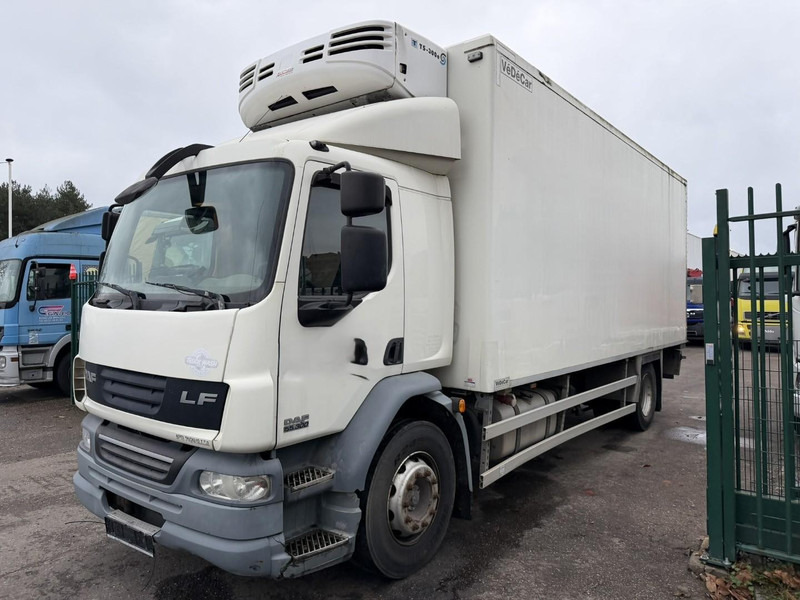 DAF LF 55.300 - 19T FRIGO THERMOKING TS-300e - TAILLIFT - BOX 6m45 x 2m49 x 2m49 - EURO 5 - A/C - BE TRUCK - Kamion frigorifer: foto 3 DAF LF 55.300 - 19T FRIGO THERMOKING TS-300e - TAILLIFT - BOX 6m45 x 2m49 x 2m49 - EURO 5 - A/C - BE TRUCK - Kamion frigorifer: foto 3