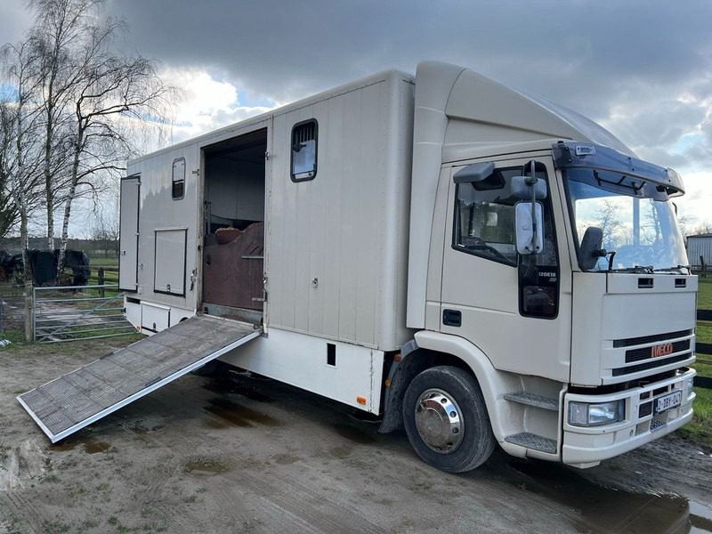 Iveco 120E18 - 3 HORSES - MANUAL - STEEL SUSPENSION - Kamion për kuaj: foto 1 Iveco 120E18 - 3 HORSES - MANUAL - STEEL SUSPENSION - Kamion për kuaj: foto 1