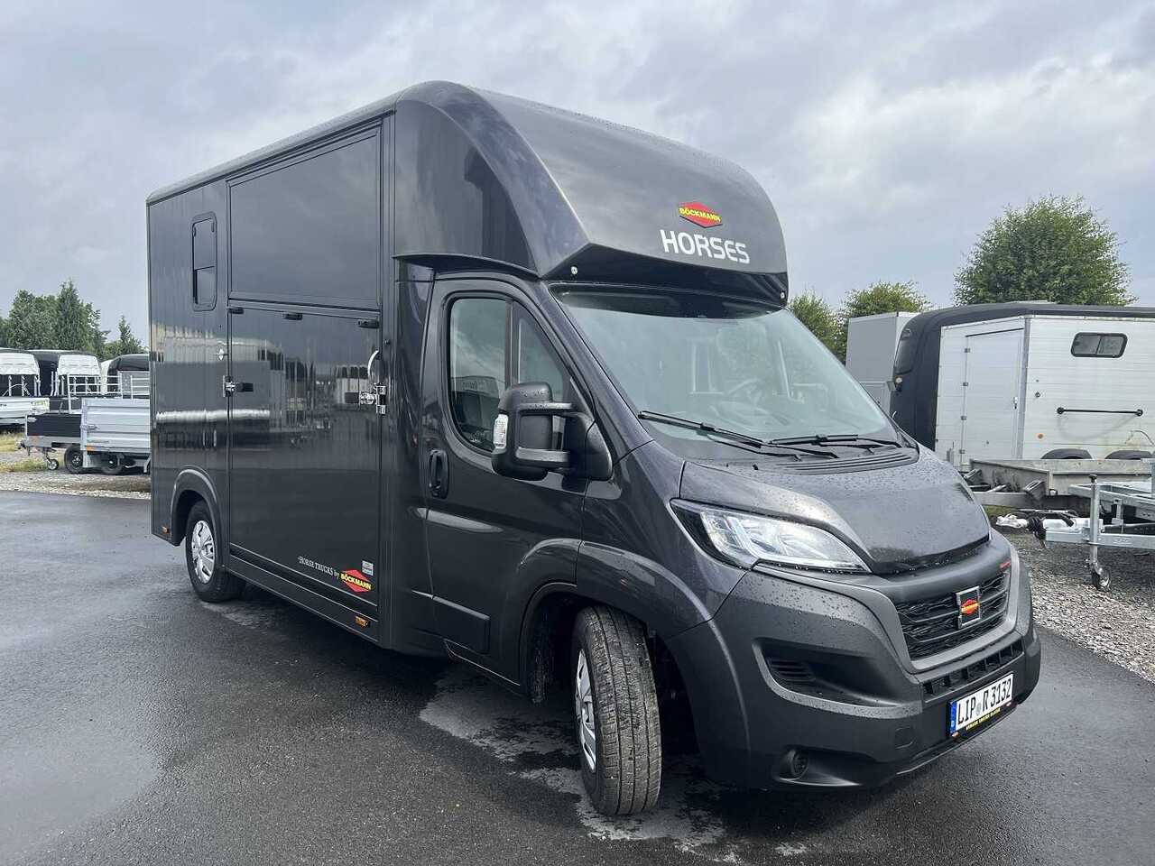 Kamion për kuaj Fiat Böckmann Compact Basic LKW: foto 9