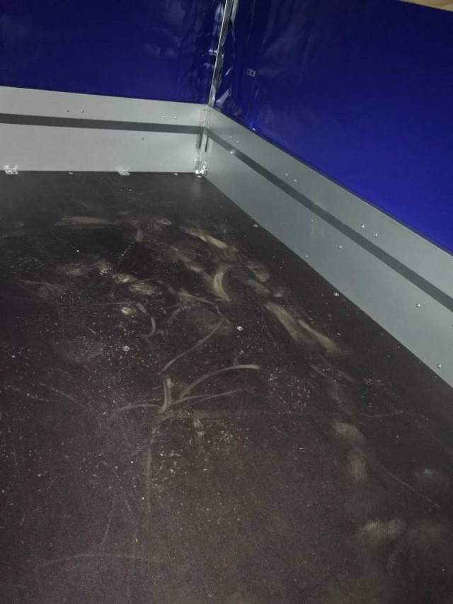 Humbaur Steely mit Hochplane 140 cm, 750 kg 2050x1095x300mm - Rimorkio makine: foto 4 Humbaur Steely mit Hochplane 140 cm, 750 kg 2050x1095x300mm - Rimorkio makine: foto 4