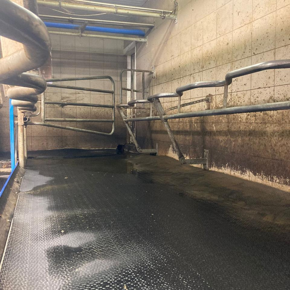 DeLaval Fischgrätenmelkstand Doppel 10er - Pajisje mjeljeje: foto 2 DeLaval Fischgrätenmelkstand Doppel 10er - Pajisje mjeljeje: foto 2