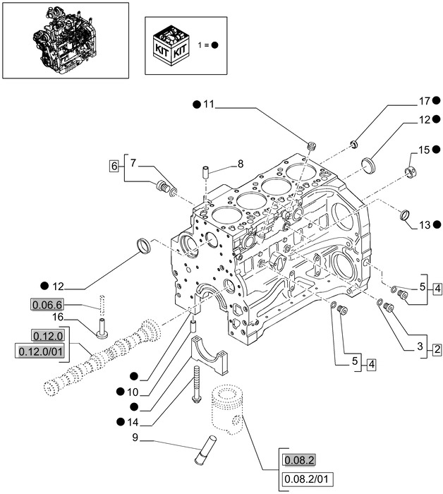 New Holland T6010 Blok cylindra 2830738 - Blloku i cilindrit për Traktor: foto 1 New Holland T6010 Blok cylindra 2830738 - Blloku i cilindrit për Traktor: foto 1