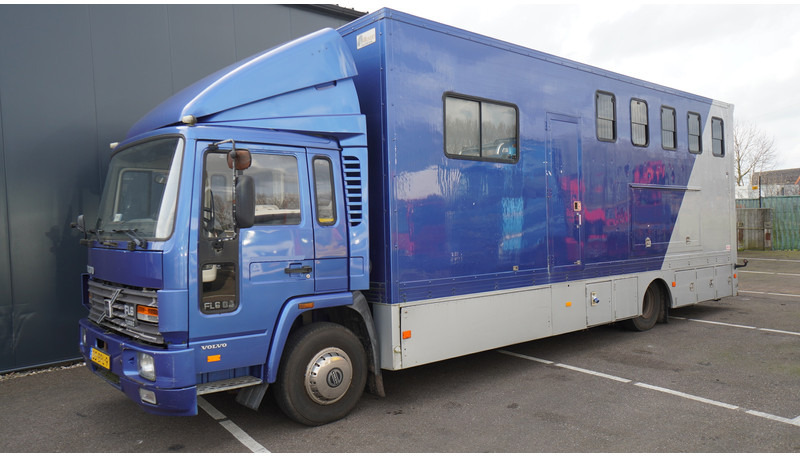 Volvo FL 6-9 HORSE TRANSPORT 341.000KM MANUAL GEARBOX - Kamion për kuaj: foto 3 Volvo FL 6-9 HORSE TRANSPORT 341.000KM MANUAL GEARBOX - Kamion për kuaj: foto 3