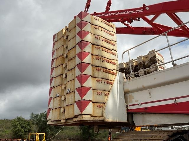 Vinç me zinxhir Liebherr LR1600/2: foto 17