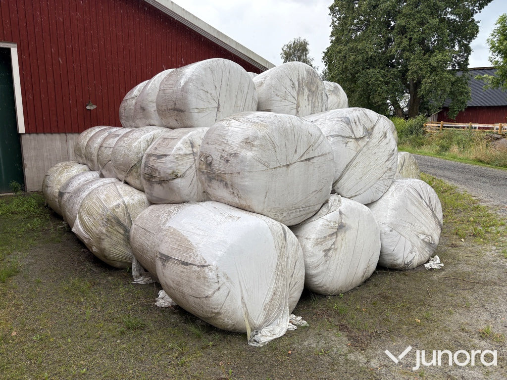 Helsädesensilage - 75 st - Pajisje blegtorale: foto 3 Helsädesensilage - 75 st - Pajisje blegtorale: foto 3