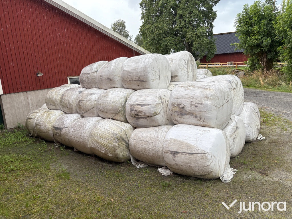 Helsädesensilage - 75 st - Pajisje blegtorale: foto 2 Helsädesensilage - 75 st - Pajisje blegtorale: foto 2