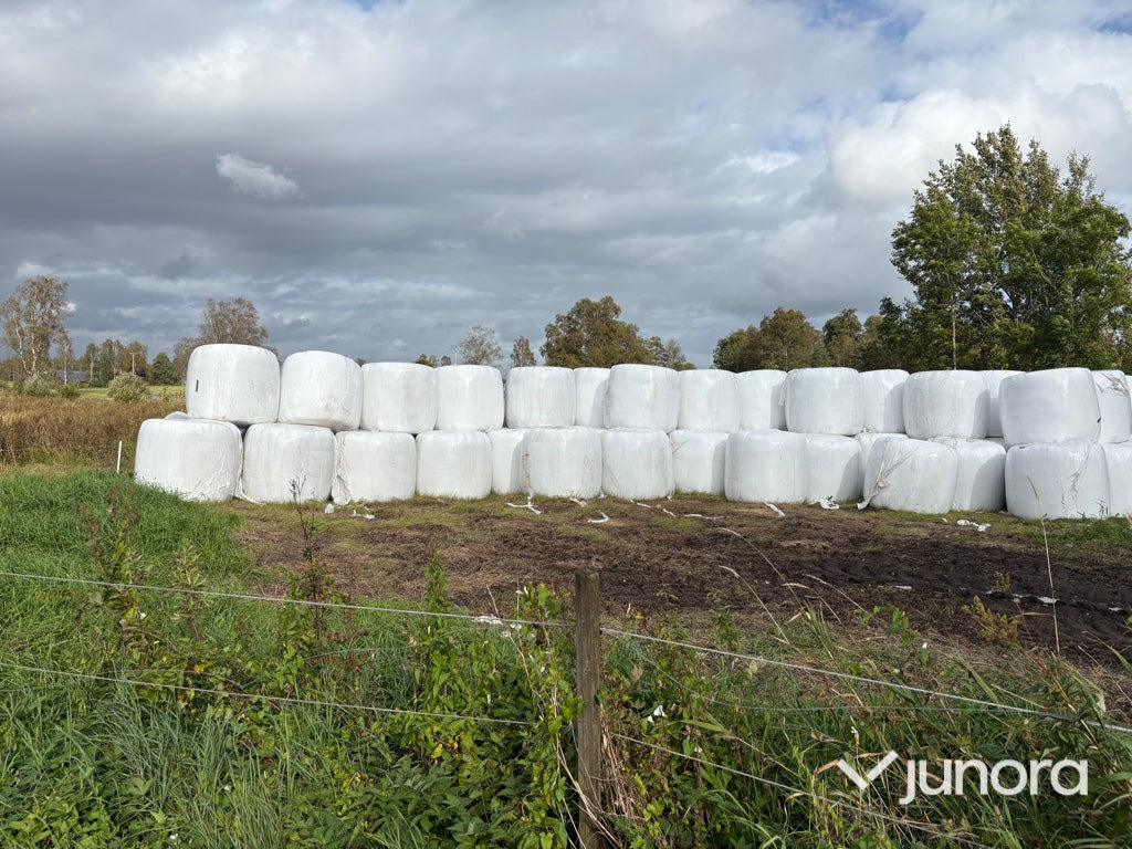 Höensilage 2025 - Barkthyese: foto 5 Höensilage 2025 - Barkthyese: foto 5