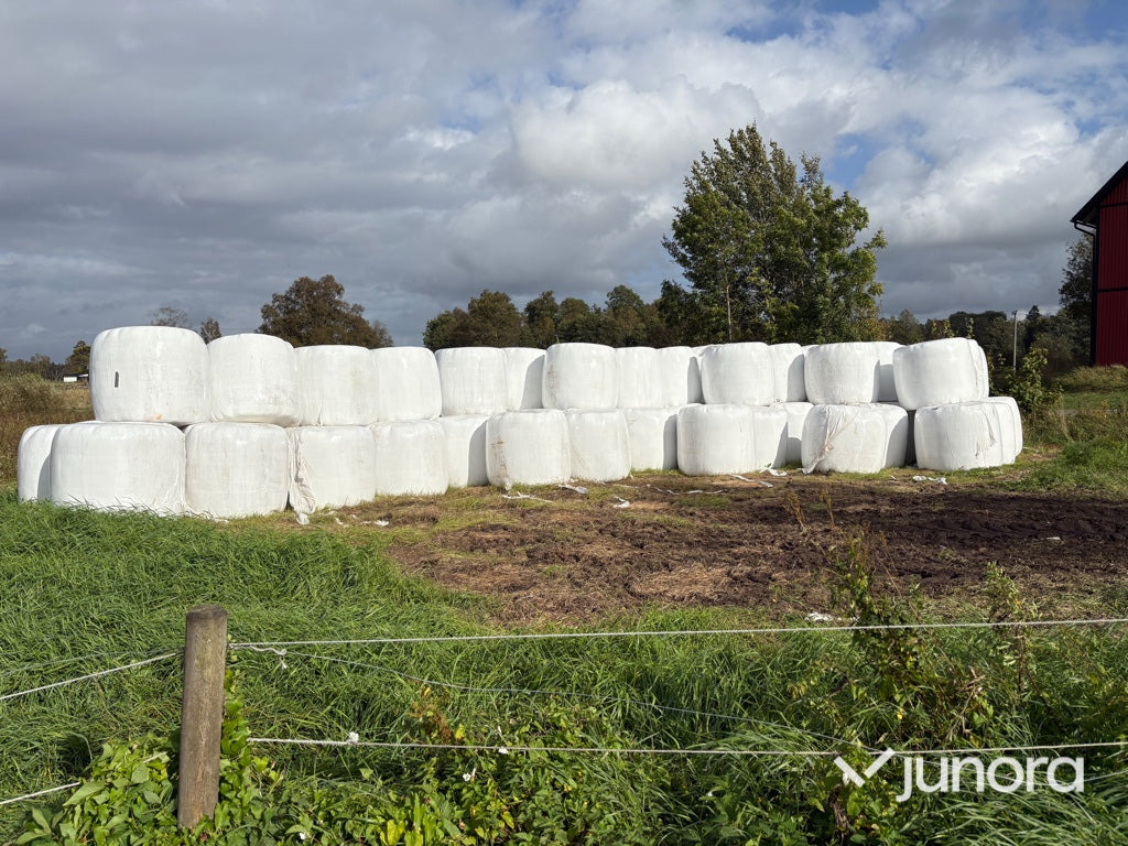 Höensilage 2025 - Barkthyese: foto 4 Höensilage 2025 - Barkthyese: foto 4