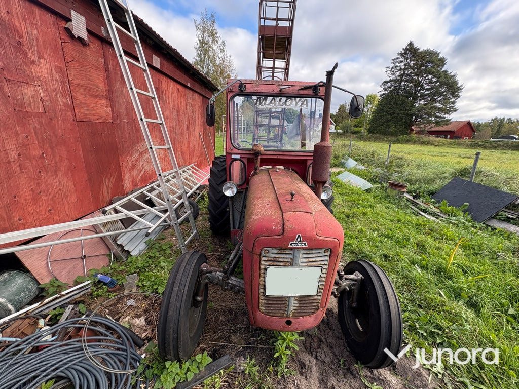 Massey Ferguson 35 Stand – 1960 årsmodell, klassisk dieseltraktor - Traktor: foto 2 Massey Ferguson 35 Stand – 1960 årsmodell, klassisk dieseltraktor - Traktor: foto 2