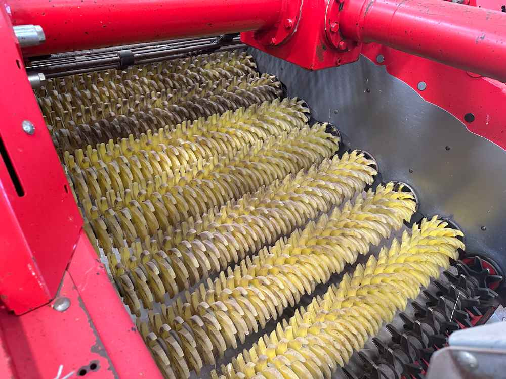 Grimme CS-150 RotaPower - Makinë për nxjerrjen e patateve: foto 4 Grimme CS-150 RotaPower - Makinë për nxjerrjen e patateve: foto 4