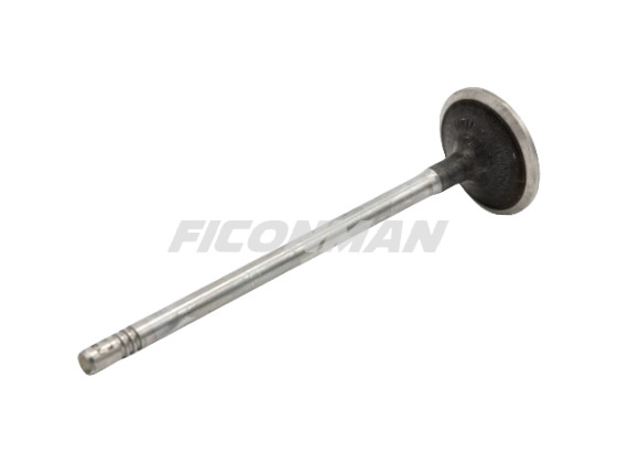 Iveco Daily Fiat Ducato F1C Intake Valve 504072531 504238926 - Valvula për Kamioncine: foto 1 Iveco Daily Fiat Ducato F1C Intake Valve 504072531 504238926 - Valvula për Kamioncine: foto 1