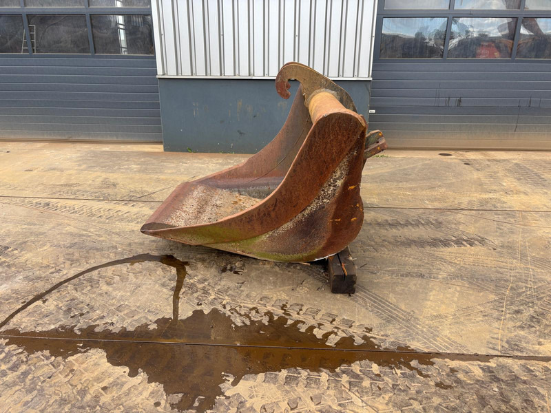 Verachtert Vleugelbak - Kovë: foto 2 Verachtert Vleugelbak - Kovë: foto 2