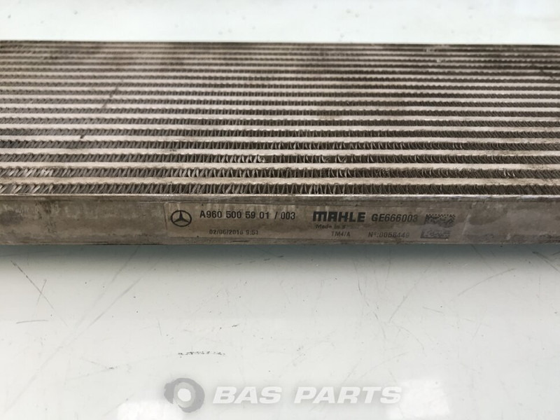 Mercedes-Benz Oliekoeler V-Bak Mercedes A 960 500 59 01 - Ftohës vaji për Kamioni: foto 3 Mercedes-Benz Oliekoeler V-Bak Mercedes A 960 500 59 01 - Ftohës vaji për Kamioni: foto 3