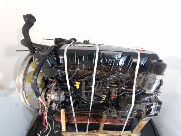 Motori për Kamioni DAF MX265U1 Engine (Truck): foto 10