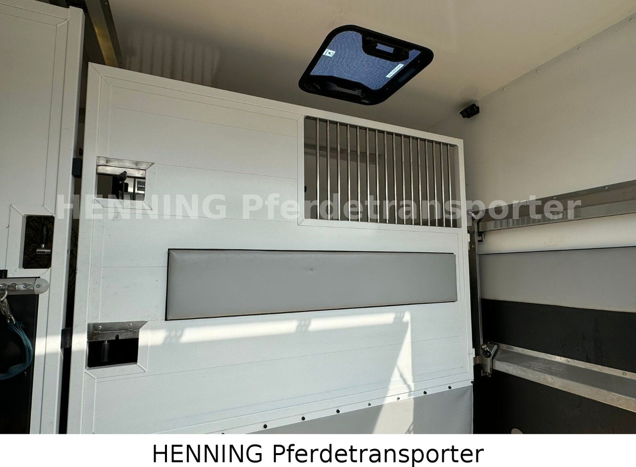 Citroën Jumper 5 - Sitzer - Kamion bagëtish: foto 4 Citroën Jumper 5 - Sitzer - Kamion bagëtish: foto 4