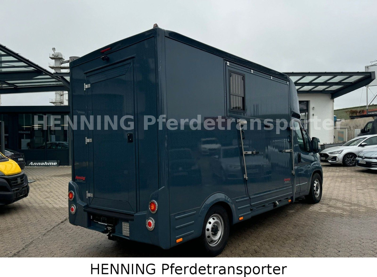 Fiat Ducato *AUTOMATIK* 3 - Sitzer - Kamion bagëtish: foto 3 Fiat Ducato *AUTOMATIK* 3 - Sitzer - Kamion bagëtish: foto 3