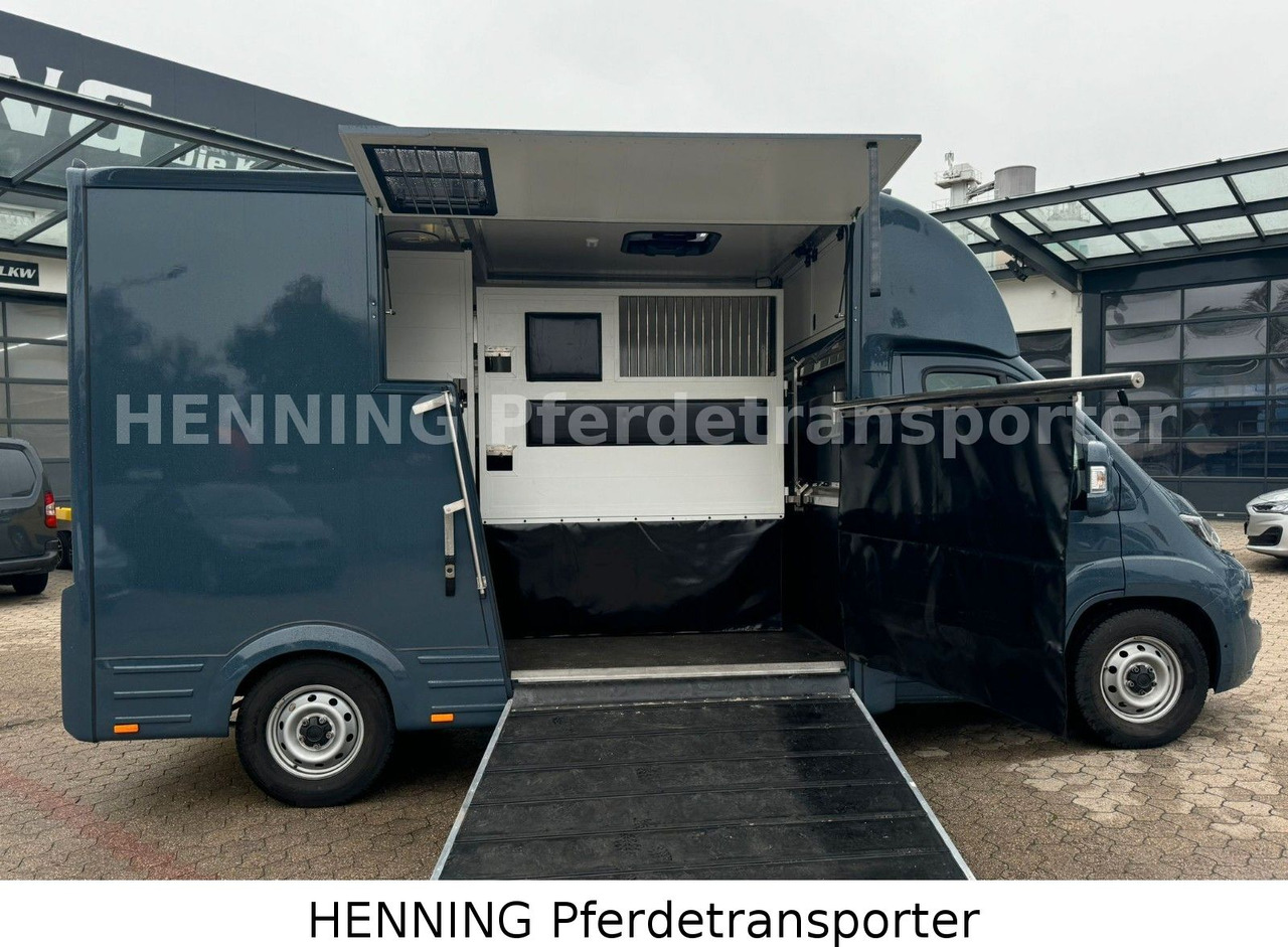 Fiat Ducato *AUTOMATIK* 3 - Sitzer - Kamion bagëtish: foto 4 Fiat Ducato *AUTOMATIK* 3 - Sitzer - Kamion bagëtish: foto 4