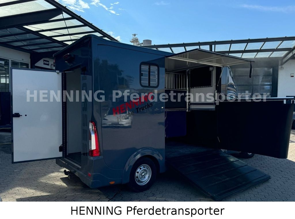 Opel Movano 3 - Sitzer *AUFBAU NEU* Opel Movano 3 - Sitzer *AUFBAU NEU* - Kamion për kuaj: foto 3 Opel Movano 3 - Sitzer *AUFBAU NEU* Opel Movano 3 - Sitzer *AUFBAU NEU* - Kamion për kuaj: foto 3