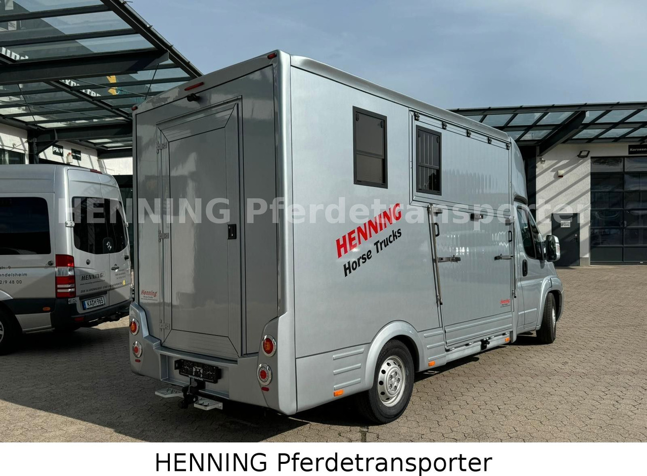Peugeot Boxer 3 - Sitzer - Kamion bagëtish: foto 2 Peugeot Boxer 3 - Sitzer - Kamion bagëtish: foto 2