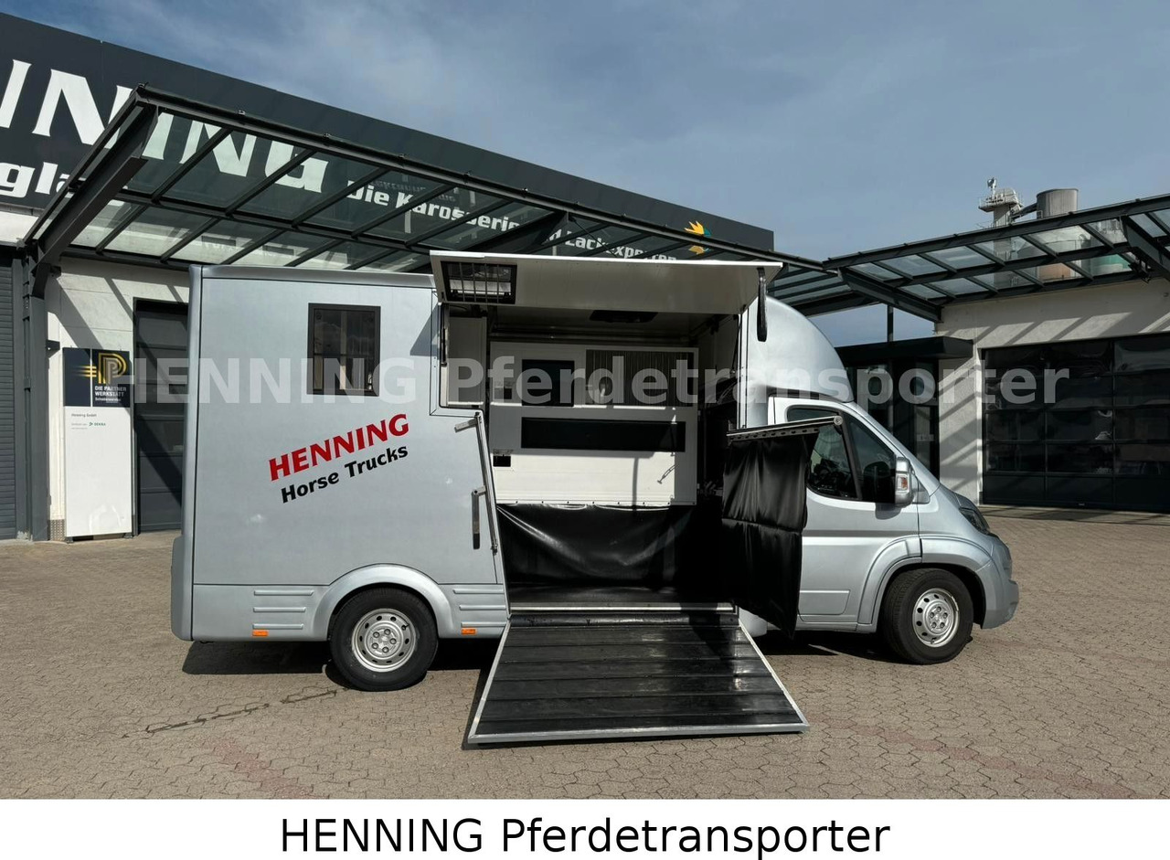 Peugeot Boxer 3 - Sitzer - Kamion bagëtish: foto 3 Peugeot Boxer 3 - Sitzer - Kamion bagëtish: foto 3