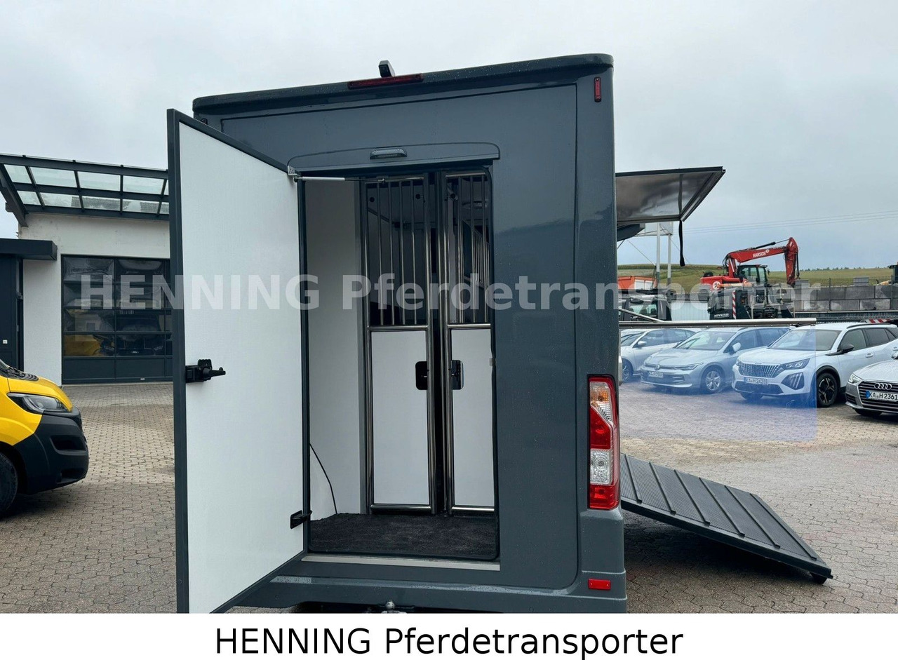 Renault Master 3 - Sitzer *NEUES MODELL* - Kamion bagëtish: foto 4 Renault Master 3 - Sitzer *NEUES MODELL* - Kamion bagëtish: foto 4