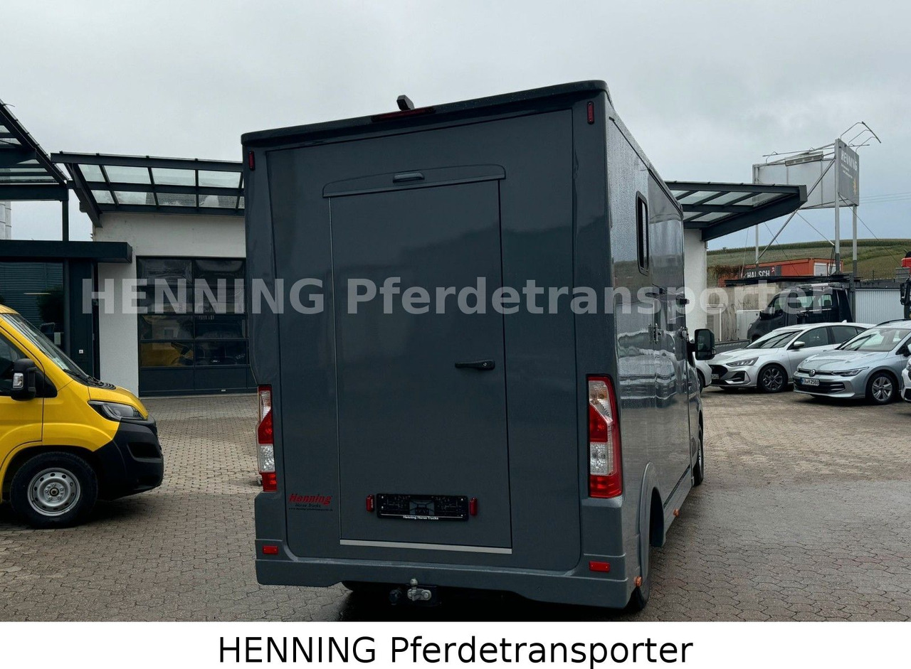 Renault Master 3 - Sitzer *NEUES MODELL* - Kamion bagëtish: foto 3 Renault Master 3 - Sitzer *NEUES MODELL* - Kamion bagëtish: foto 3
