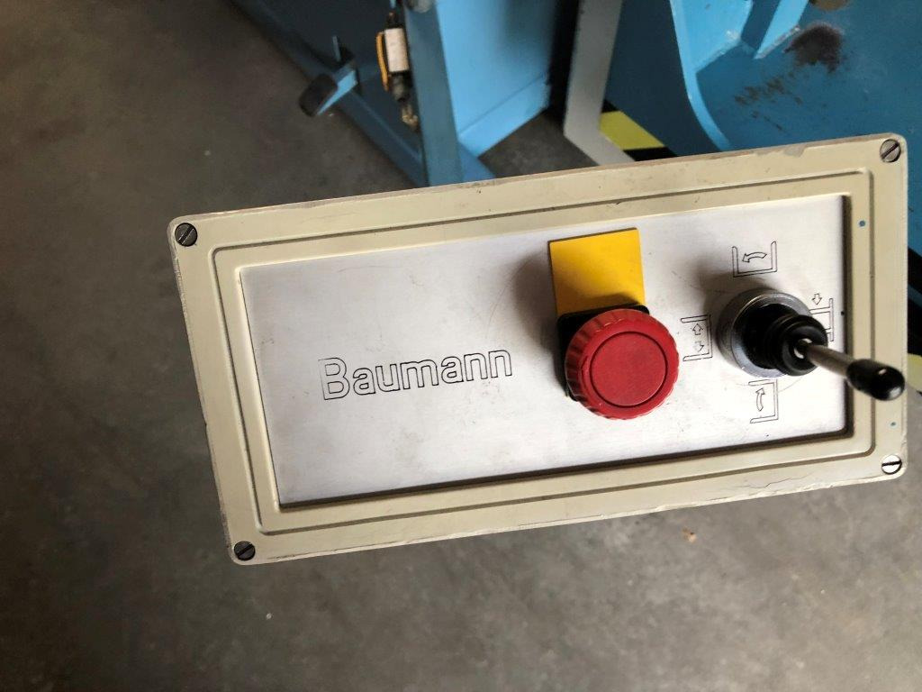 Baumann BSW-P pile turner - Makinë printimi: foto 4 Baumann BSW-P pile turner - Makinë printimi: foto 4