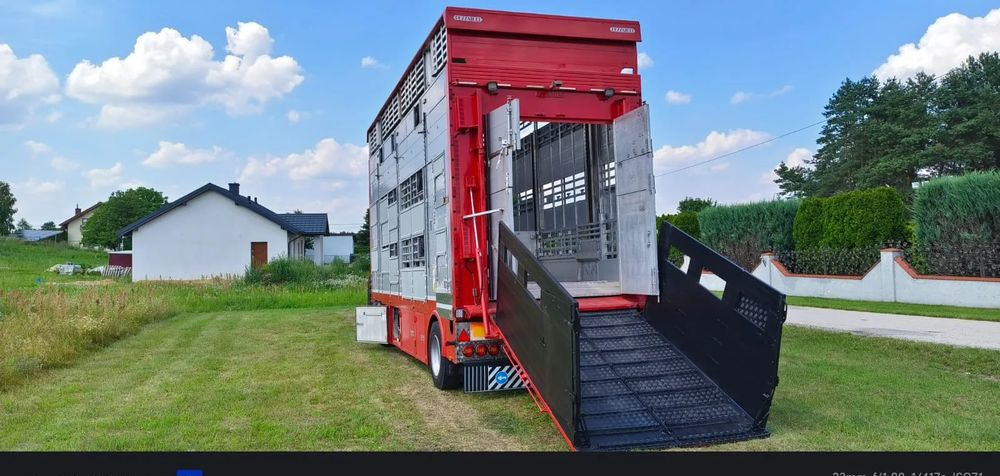 Pezzaioli RBA22 Dwuosiowa Przyczepa – 2x Bydło, 3x Trzoda – 2016r – Bezwypadkowa! - Rimorkio bagëtish: foto 1 Pezzaioli RBA22 Dwuosiowa Przyczepa – 2x Bydło, 3x Trzoda – 2016r – Bezwypadkowa! - Rimorkio bagëtish: foto 1