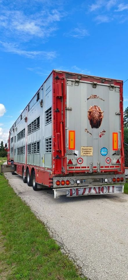 Pezzaioli SBA32/hydrauliczny dach/hydrauliczna rampa/ 3 poziomy/ 2xbydło -3xtrzoda/wentylatory/poidła/sterowanie pilotem - Gjysmë rimorkio bagëtish: foto 5 Pezzaioli SBA32/hydrauliczny dach/hydrauliczna rampa/ 3 poziomy/ 2xbydło -3xtrzoda/wentylatory/poidła/sterowanie pilotem - Gjysmë rimorkio bagëtish: foto 5