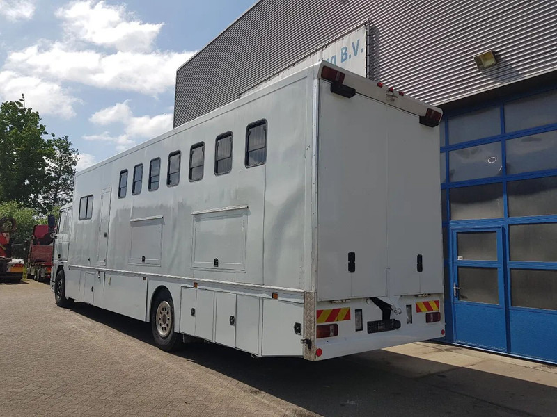 DAF 95.350 Paardenwagen met zitverblijf 7 paarden 7 horses - Kamion për kuaj: foto 4 DAF 95.350 Paardenwagen met zitverblijf 7 paarden 7 horses - Kamion për kuaj: foto 4