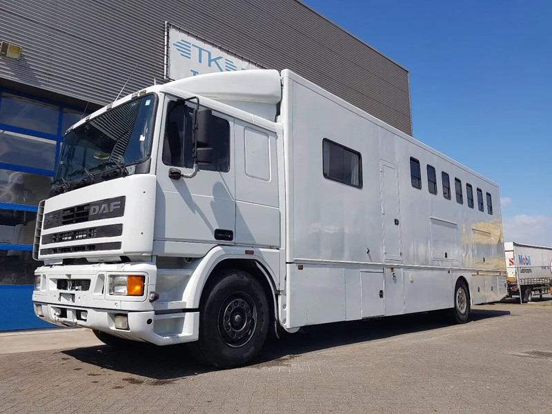 DAF 95.350 Paardenwagen met zitverblijf 7 paarden 7 horses - Kamion për kuaj: foto 1 DAF 95.350 Paardenwagen met zitverblijf 7 paarden 7 horses - Kamion për kuaj: foto 1