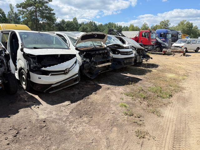 Toyota Proace L1 Kasten Meister ERSATZTEILENSPENDER - Furgon i vogël: foto 3 Toyota Proace L1 Kasten Meister ERSATZTEILENSPENDER - Furgon i vogël: foto 3