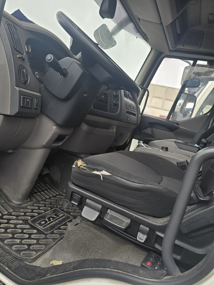 Lizingu i DAF LF 320 DAF LF 320: foto 15