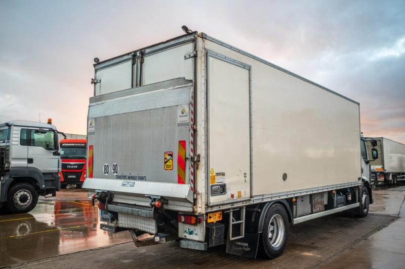 Renault PREMIUM 300DXI+POUSSIN/CHICKEN/KUIKEN/KÛKEN+DHOLLANDIA - Kamion vagonetë: foto 3 Renault PREMIUM 300DXI+POUSSIN/CHICKEN/KUIKEN/KÛKEN+DHOLLANDIA - Kamion vagonetë: foto 3