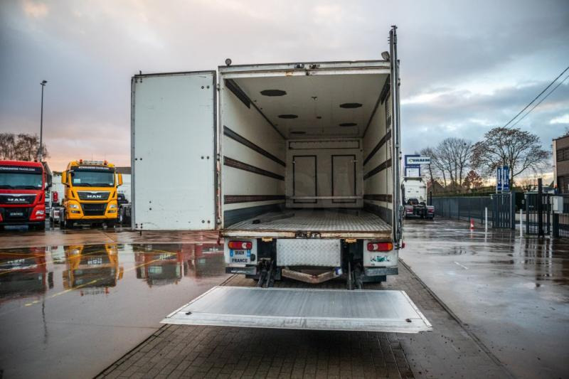 Renault PREMIUM 300DXI+POUSSIN/CHICKEN/KUIKEN/KÛKEN+DHOLLANDIA - Kamion vagonetë: foto 5 Renault PREMIUM 300DXI+POUSSIN/CHICKEN/KUIKEN/KÛKEN+DHOLLANDIA - Kamion vagonetë: foto 5