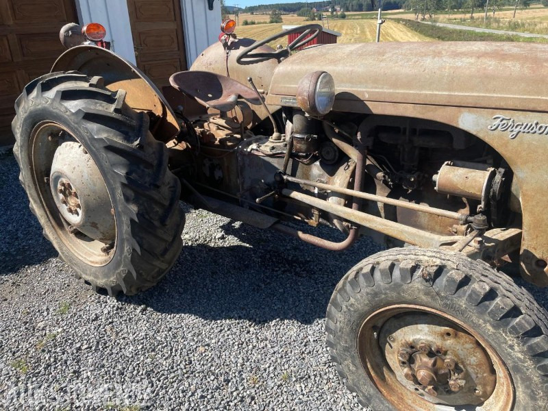 1956 Massey Ferguson Gråtass - Traktor: foto 2 1956 Massey Ferguson Gråtass - Traktor: foto 2