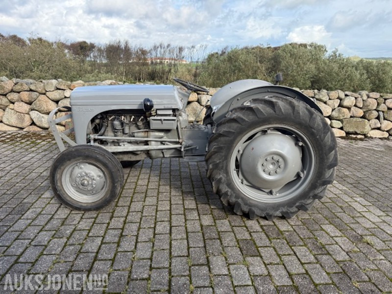 1960 Massey Ferguson Gråtass - Traktor: foto 1 1960 Massey Ferguson Gråtass - Traktor: foto 1