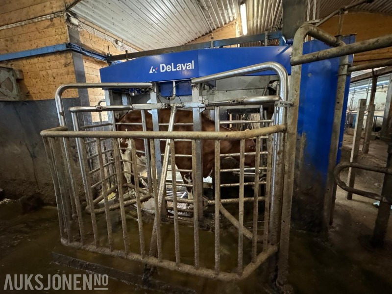2013 DeLaval VMS melkerobot med 1 kraftfôrstasjon FSC40 - Høyre utgave - Steam - Innredning og grinder foran - Vakuumpumpe - Fortsatt i daglig drift - Makineri bujqësore: foto 4 2013 DeLaval VMS melkerobot med 1 kraftfôrstasjon FSC40 - Høyre utgave - Steam - Innredning og grinder foran - Vakuumpumpe - Fortsatt i daglig drift - Makineri bujqësore: foto 4