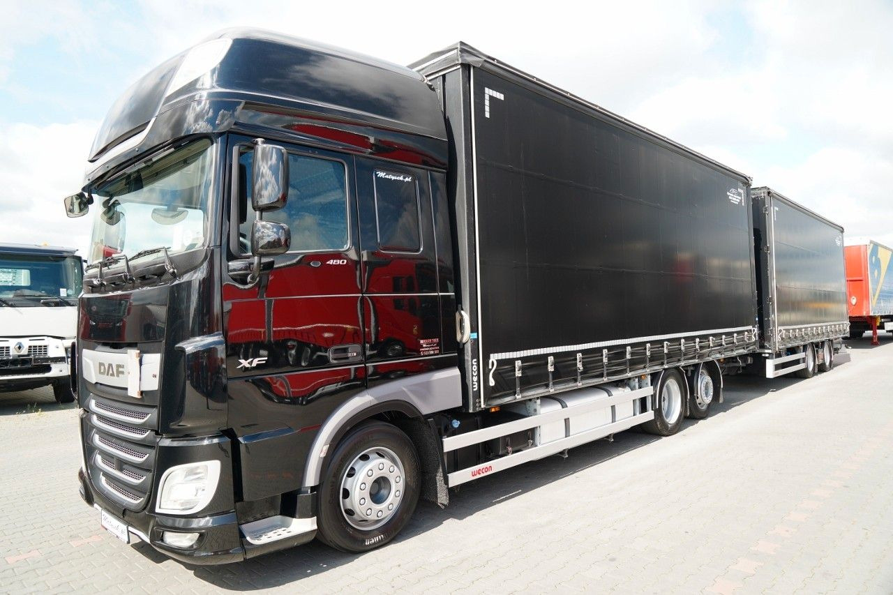 Kamion me tendë DAF XF 480 / I PARK-COOL /  ZESTAW TANDEM / 120 M3 /: foto 6