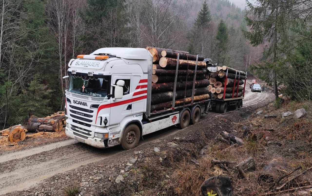 SCANIA R560 V8 - Kamion për transport druri, Kamion me vinç: foto 2 SCANIA R560 V8 - Kamion për transport druri, Kamion me vinç: foto 2