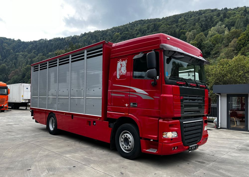 DAF XF 105.460 Euro 5 // Manual // Retarder // Do Żywca / Bydła / Zwierząt / - Kamion bagëtish: foto 2 DAF XF 105.460 Euro 5 // Manual // Retarder // Do Żywca / Bydła / Zwierząt / - Kamion bagëtish: foto 2