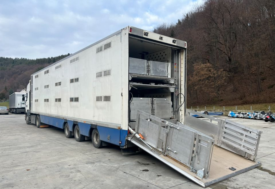 Lizingu i Pezzaioli HMK Industri // Do przewozu zwierząt // 2004 Rok // 3 Pokłady // Waga // Osi skrętne // Oznonacja // Pezzaioli HMK Industri // Do przewozu zwierząt // 2004 Rok // 3 Pokłady // Waga // Osi skrętne // Oznonacja //: foto 6 Lizingu i Pezzaioli HMK Industri // Do przewozu zwierząt // 2004 Rok // 3 Pokłady // Waga // Osi skrętne // Oznonacja // Pezzaioli HMK Industri // Do przewozu zwierząt // 2004 Rok // 3 Pokłady // Waga // Osi skrętne // Oznonacja //: foto 6