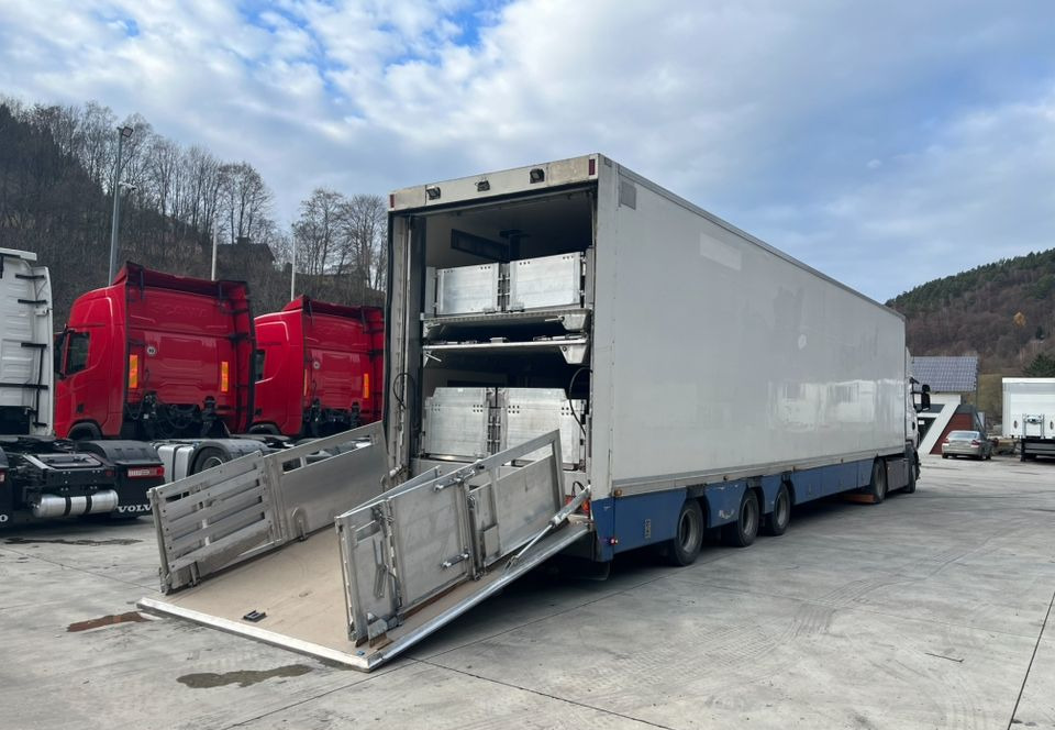 Lizingu i Pezzaioli HMK Industri // Do przewozu zwierząt // 2004 Rok // 3 Pokłady // Waga // Osi skrętne // Oznonacja // Pezzaioli HMK Industri // Do przewozu zwierząt // 2004 Rok // 3 Pokłady // Waga // Osi skrętne // Oznonacja //: foto 7 Lizingu i Pezzaioli HMK Industri // Do przewozu zwierząt // 2004 Rok // 3 Pokłady // Waga // Osi skrętne // Oznonacja // Pezzaioli HMK Industri // Do przewozu zwierząt // 2004 Rok // 3 Pokłady // Waga // Osi skrętne // Oznonacja //: foto 7