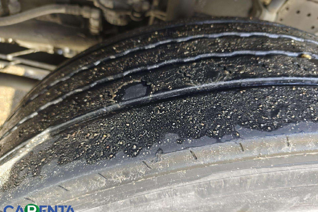 Kamion frigorifer MAN TGS: foto 15