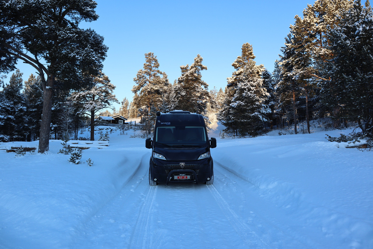 Bravia Swan 599 Nordic - Furgon kampingu: foto 3 Bravia Swan 599 Nordic - Furgon kampingu: foto 3