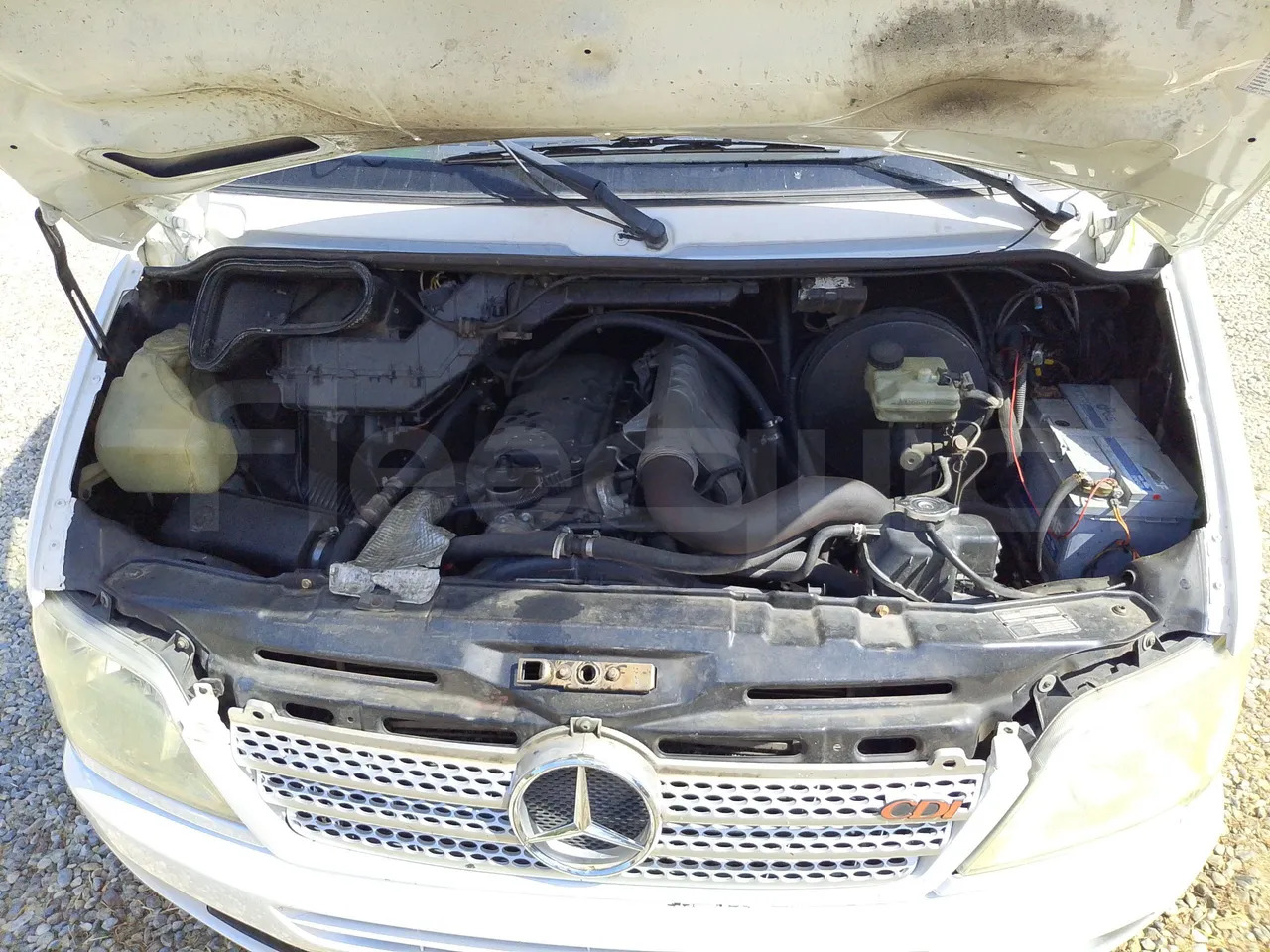 Minibus, Furgon pasagjerësh Mercedes-Benz Sprinter: foto 20