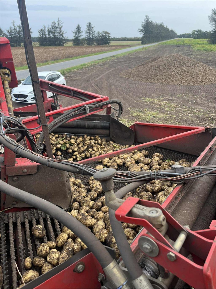 Grimme 150-60 NB HJULTRÆK  - Makinë për nxjerrjen e patateve: foto 5 Grimme 150-60 NB HJULTRÆK  - Makinë për nxjerrjen e patateve: foto 5